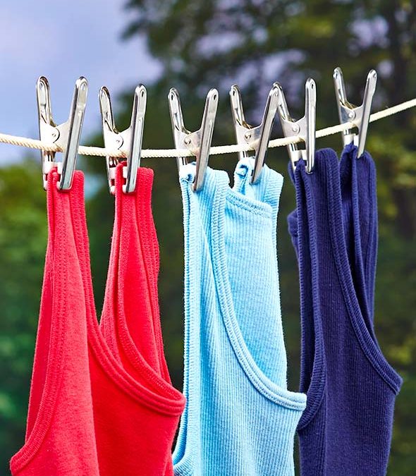 Set of 40 Stainless Steel Clothespins