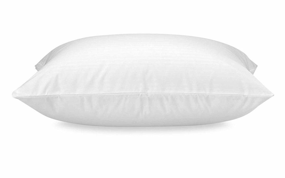 Claritin® Ultimate Allergen Barrier Embossed Standard/Queen Pillow Protector