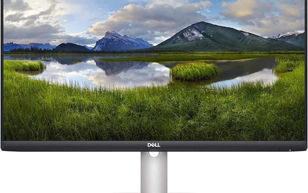 Dell S2421HS 24 Inch Full HD 1080p, IPS Ultra-Thin Bezel Monitor, Silver, Black