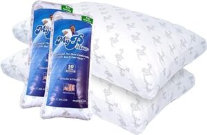 MyPillow Premium Bed Pillow Set of 2 Queen Firm